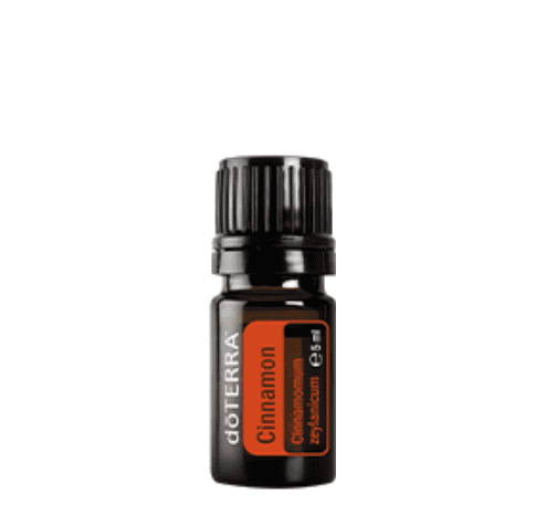 Cinnamomum zeylanicum – Cinnamon Bark (Zimtrinde) Ätherisches Öl | 5 ml