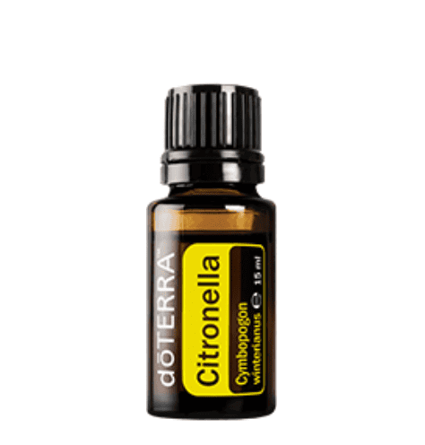 Cymbopogon winterianus – Citronella (Zitronella) Ätherisches Öl | 15 ml