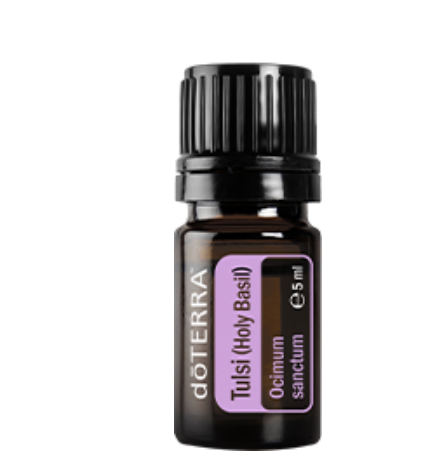 Doterra Ätherisches Öl Doterra Heiliges Basilikum (Tulsi) 5ml - Königin der Kräuter für Hautpflege & Entspannung