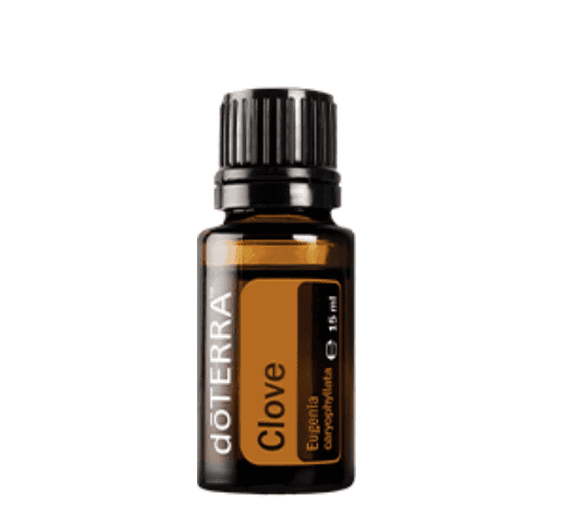 Doterra Ätherisches Öl Clove (Gewürznelke) 15 ml – Würzig & Wärmend | Eugenia caryophyllata