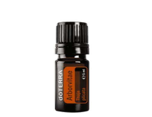 Doterra Ätherisches Öl Arborvitae (Lebensbaum) 5 ml