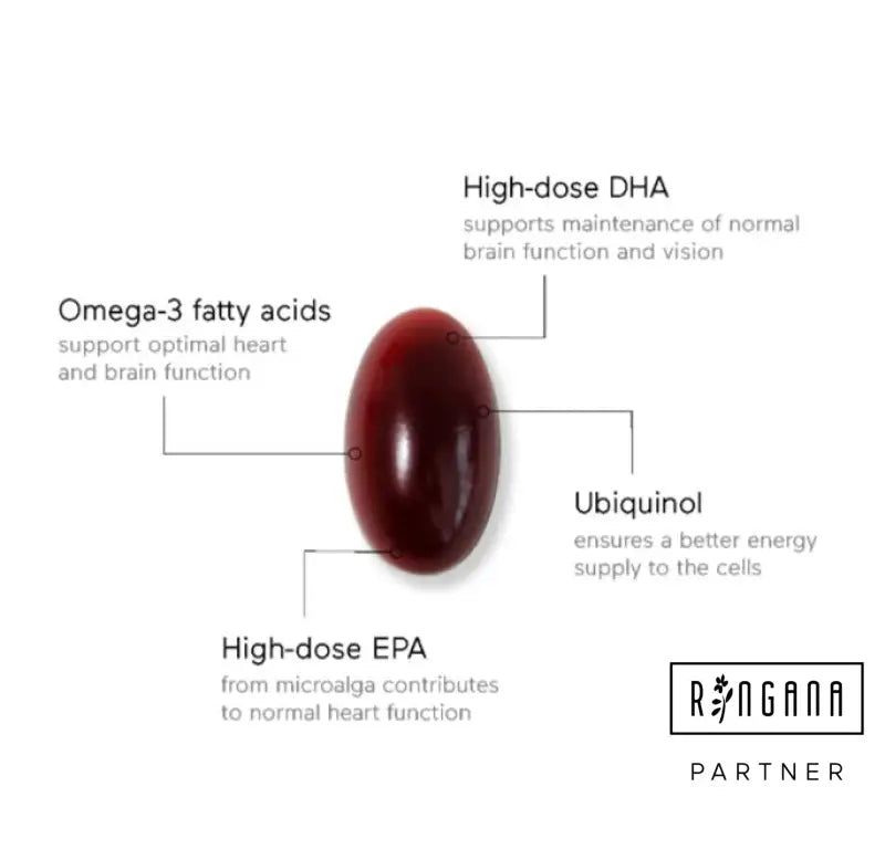 BEYOND omega ALLROUND-SUPPORT