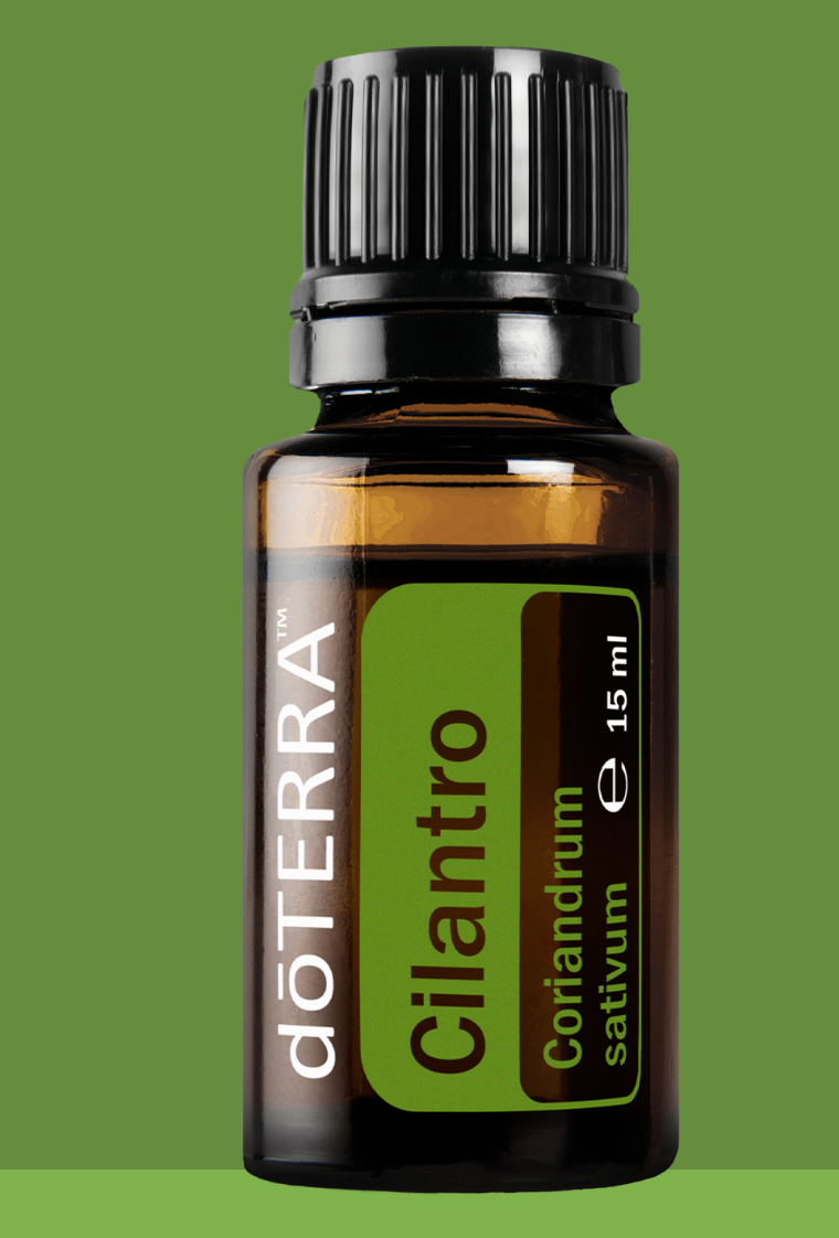 doTERRA Ätherische Öle – Cilantro (Korianderkraut)