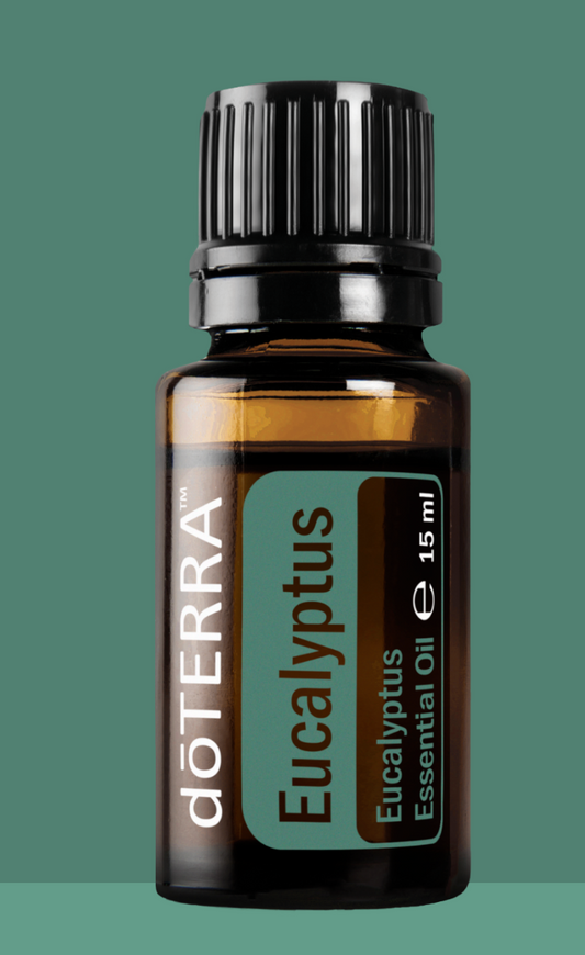 doTERRA Eukalyptus Ätherisches Öl