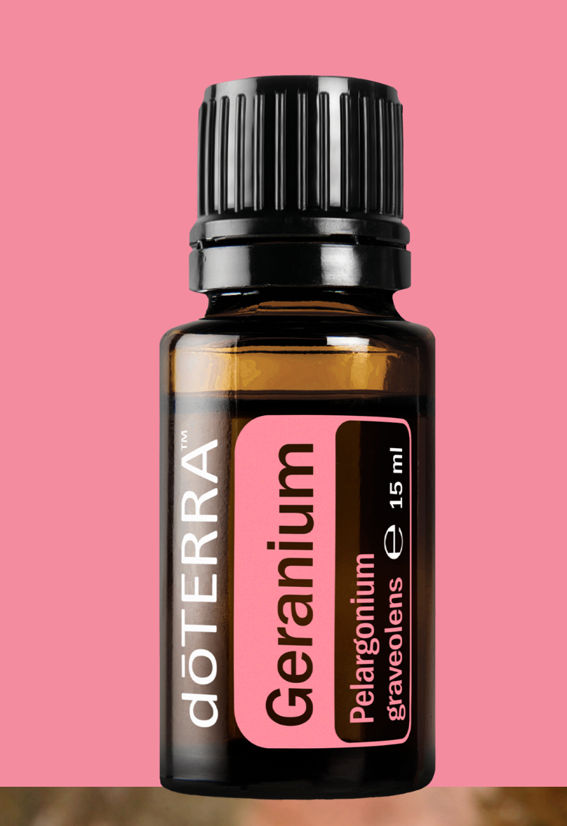 Doterra Ätherisches Öl : Geranium (Geranie) Pelargonium graveolens – Natürlich schöne Haut, hormonelle Balance und emotionales Wohlbefinden
