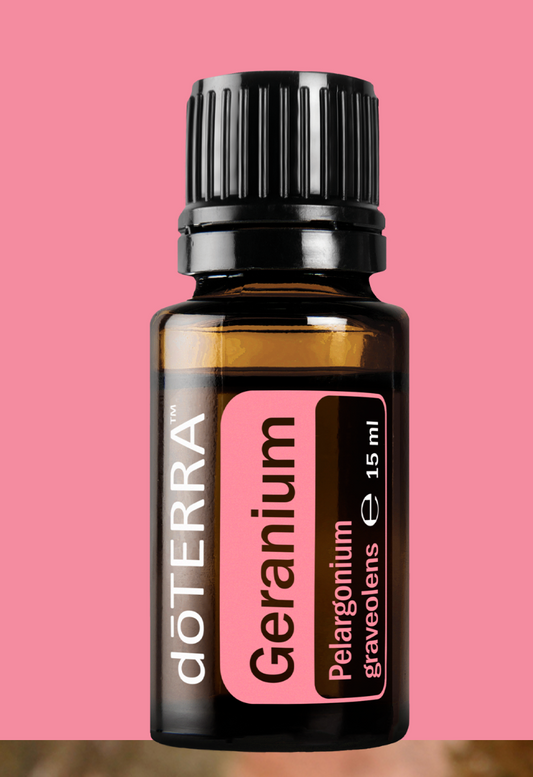 Doterra Ätherisches Öl : Geranium (Geranie) Pelargonium graveolens – Natürlich schöne Haut, hormonelle Balance und emotionales Wohlbefinden
