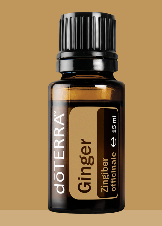 Doterra Ätherisches Öl : Ginger (Ingwer)