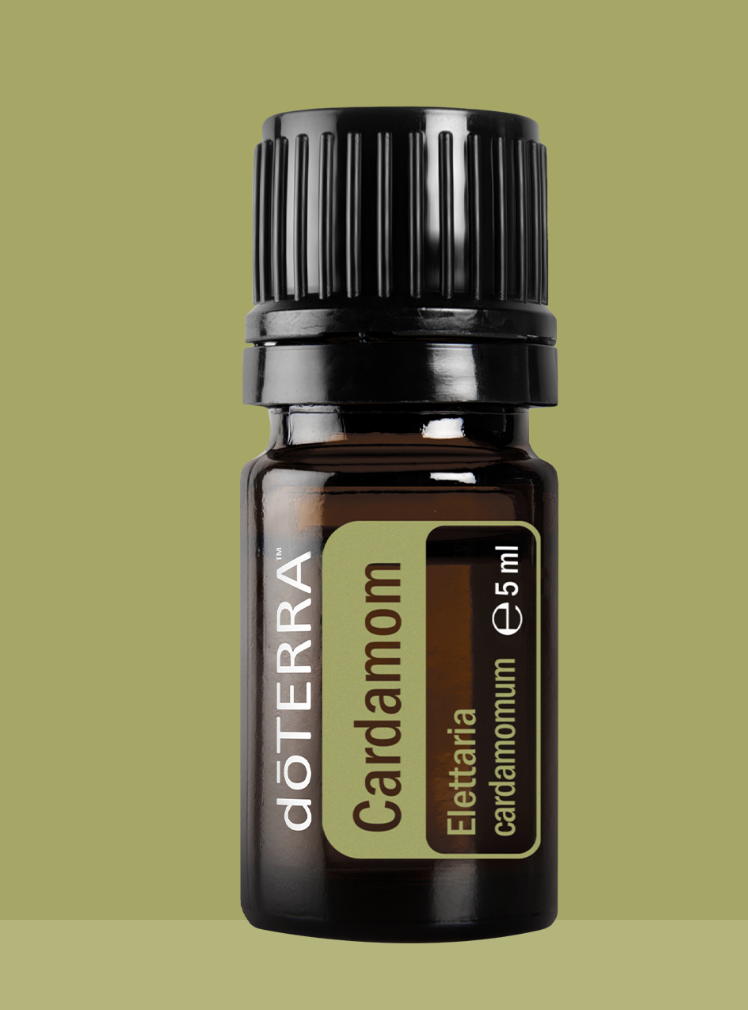 DoTERRA Kardamom Ätherisches Öl