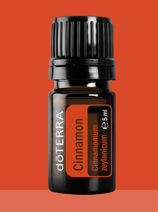 Cinnamomum zeylanicum – Cinnamon Bark (Zimtrinde) Ätherisches Öl | 5 ml