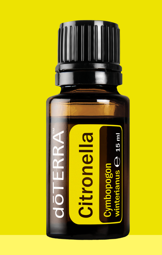 Cymbopogon winterianus – Citronella (Zitronella) Ätherisches Öl | 15 ml