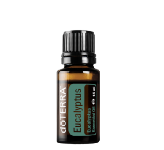 DoTERRA Ätherisches Öl Eucalyptus (Eukalyptus) – Premium-Mischung für Massage 15ml