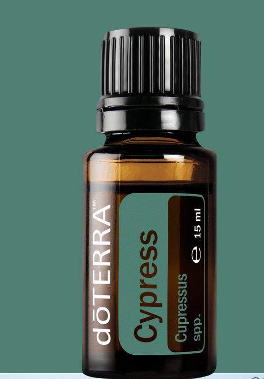 DoTERRA Ätherisches Öl Cypress (Zypresse) – Erfrischend & Vitalisierend 15ml