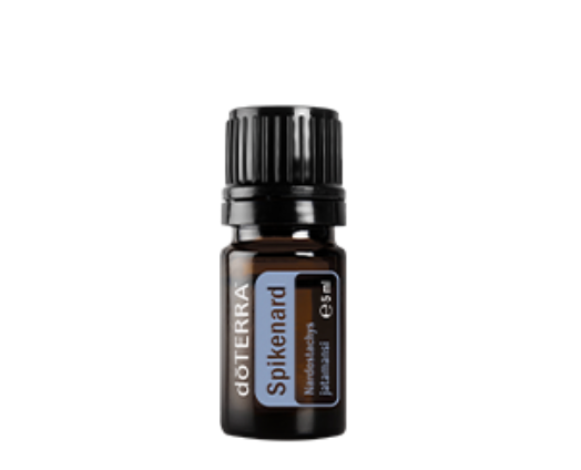 Doterra Ätherisches Öl Doterra Indische Narde (Spikenard) 5ml - Beruhigendes Öl für Meditation & Hautpflege