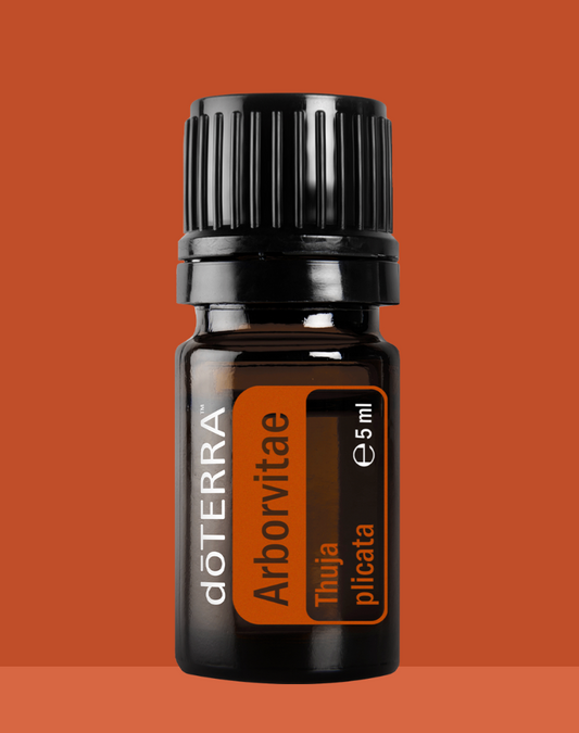 Doterra Ätherisches Öl Arborvitae (Lebensbaum) 5 ml