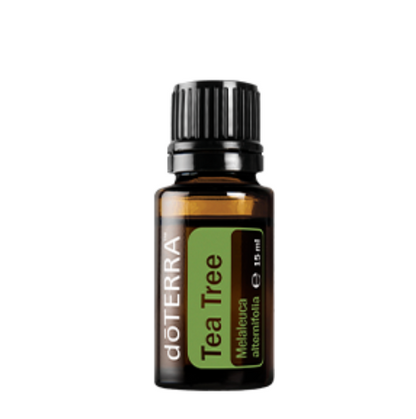 Doterra Ätherisches Öl Doterra Teebaumöl (Tea Tree/Melaleuca) 15ml - Reinigendes Öl für Haut, Haar & Nägel