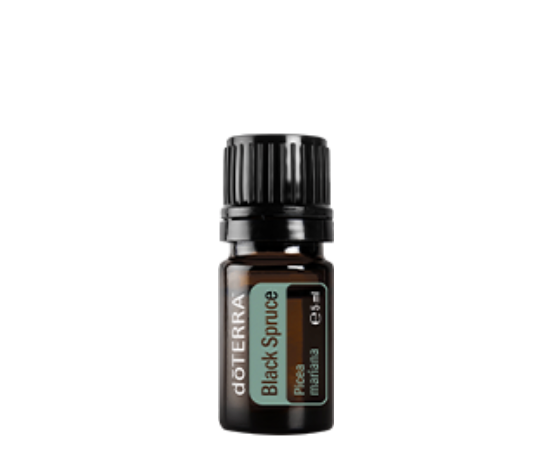 Doterra Ätherisches Öl Black Spruce (Schwarzfichte) 5 ml