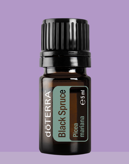 Doterra Ätherisches Öl Black Spruce (Schwarzfichte) 5 ml