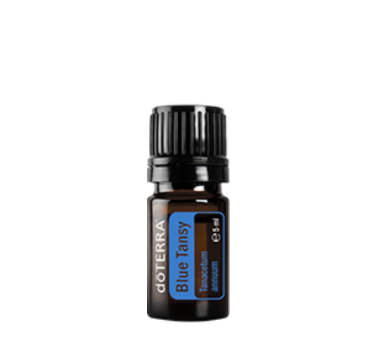 Doterra Ätherisches Öl Blue Tansy (Blauer Rainfarn) 5 ml