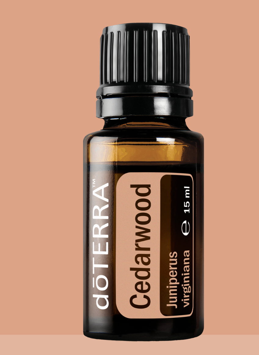 Doterra Ätherisches Öl Cedarwood (Zeder) 15 ml