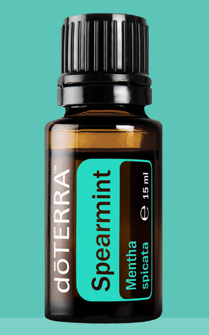 Doterra Ätherisches Öl Doterra Grüne Minze (Spearmint) 15ml - Natürliches Minzöl zum Kochen & Aromatisieren