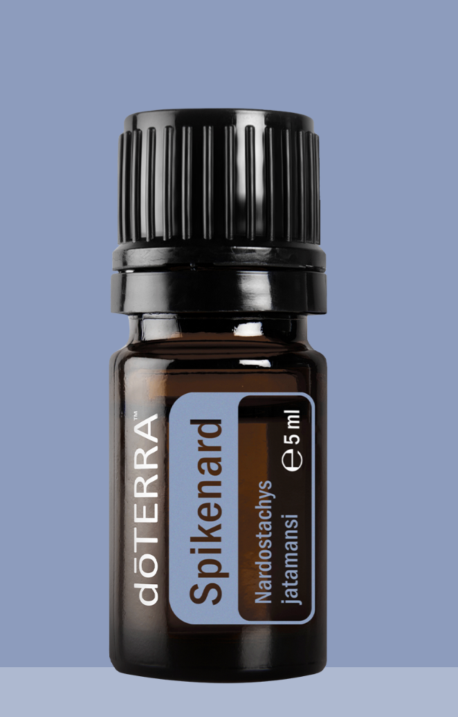 Doterra Ätherisches Öl Doterra Indische Narde (Spikenard) 5ml - Beruhigendes Öl für Meditation & Hautpflege