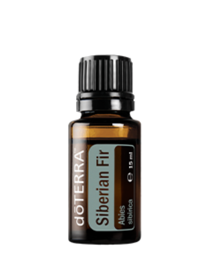 Doterra Ätherisches Öl Doterra Sibirische Tanne (Siberian Fir) 15ml - Beruhigendes Massageöl für Haut & Wohlbefinden