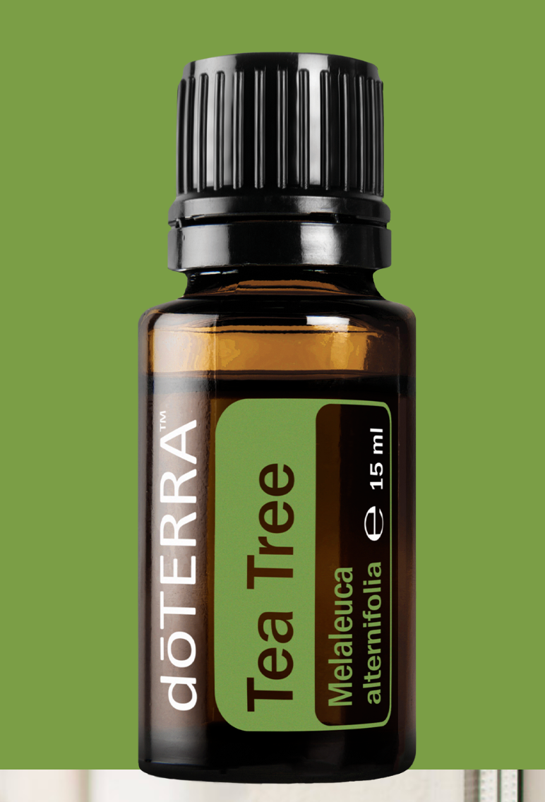 Doterra Ätherisches Öl Doterra Teebaumöl (Tea Tree/Melaleuca) 15ml - Reinigendes Öl für Haut, Haar & Nägel