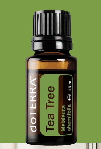 Doterra Ätherisches Öl Doterra Teebaumöl (Tea Tree/Melaleuca) 15ml - Reinigendes Öl für Haut, Haar & Nägel
