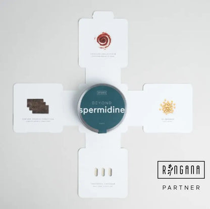 BEYOND spermidine AGELESS-EFFEKT