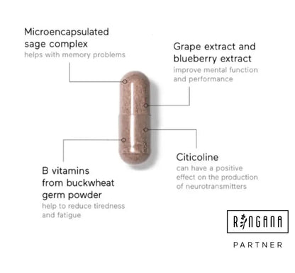 CAPS cerebro GEISTIGE FITNESS